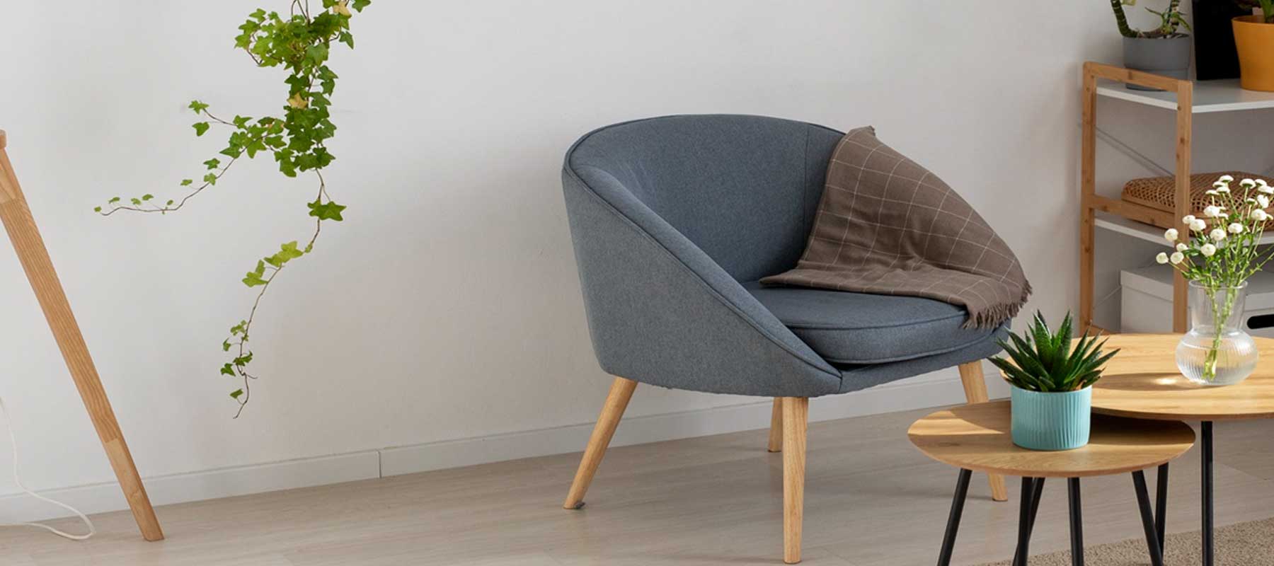 The Cozy Throne